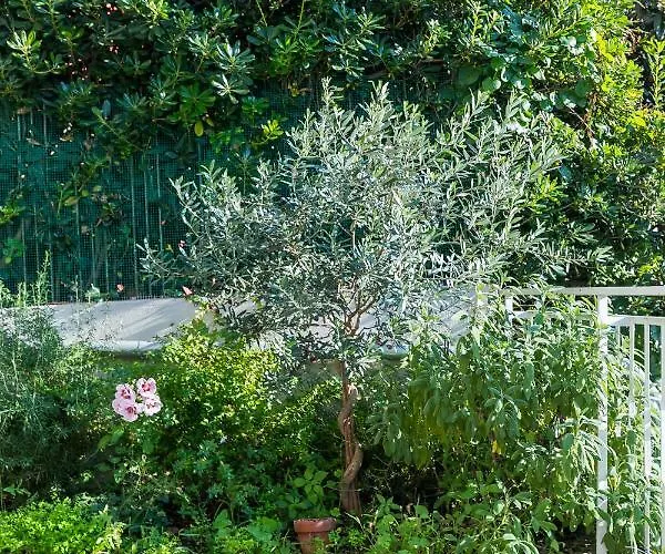 Апартаменты Casa Ceroni Рим
